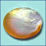 Philippine Exporter Raw of Pearls code JPROP002